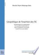 Géopolitique de l'insertion des TIC