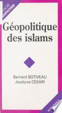 Géopolitique des islams