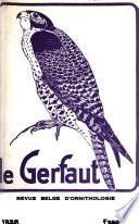 Gerfaut