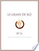 Grain de blé N°11