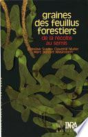 Graines des feuillus forestiers : de la récolte au semis