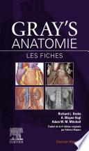 Gray's Anatomie - Les fiches