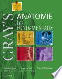 Gray's Anatomie - Les fondamentaux