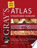 Gray's Atlas d'anatomie humaine