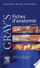 Gray's Fiches d'anatomie