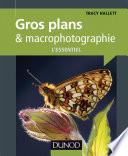 Gros plans et macrophotographie : l'essentiel