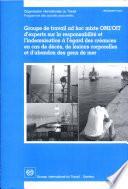Groupe de travail ad hoc mixte OMI/OIT d'experts sur la responsabilité et l'indemnisation à l'égard des créances en cas de décès, de lésions corporelles et d'abandon des gens de mer. Rapport JMC/29/2001/4(BIS)