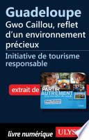 Guadeloupe : Gwo Caillou, reflet d un environnement précieux