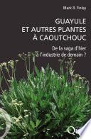 Guayule et autres plantes à caoutchouc
