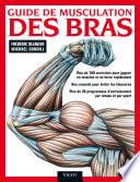 Guide de musculation des bras