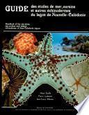 Guide des étoiles de mer, oursins et autres échinodermes du lagon de Nouvelle-Calédonie
