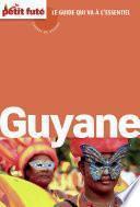 Guyane 2014 Carnet Petit Futé