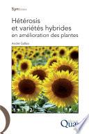 Hétérosis et variétés hybrides en amélioration des plantes
