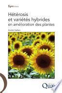 Hétérosis et variétés hybrides en amélioration des plantes