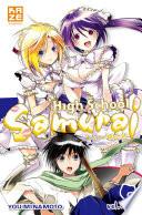 High School Samurai