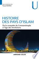 Histoire des pays d'Islam