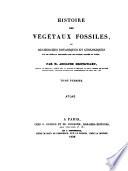 Histoire des végétaux fossiles