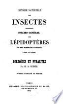 Histoire naturelle des insectes