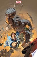 Hulk gris (Edition 20 ans Panini Comics)