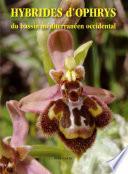 Hybrides d'Ophrys du bassin méditerranéen occidental
