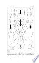 Iconographie du règne animal de G. Cuvier, ou Représentation d'après nature de l'une des espèces les plus remarquables, et souvent non encore figurées, de chaque genre d'animaux. Avec un texte descriptif mis au courant de la science