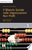 Il bilancio sociale nelle organizzazioni non profit