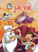 Il était une fois la vie