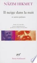 Il neige dans la nuit