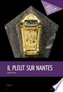 Il pleut sur Nantes