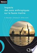 Impacts des sons anthropiques sur la faune marine