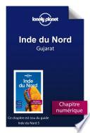 Inde du Nord 5 - Gujarat