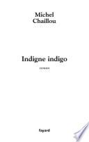 Indigne indigo