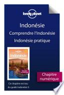 Indonésie 5ed - Comprendre l'Indonésie et Indonésie pratique