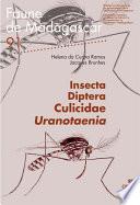Insecta Diptera Culicidae Uranotaenia