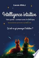 Intelligence Intuitive, 1ère porte : contact avec le Principe