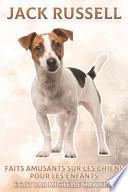 Jack Russell