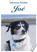 Joé