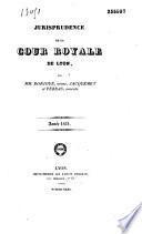 Jurisprudence de la Cour d'appel de Lyon