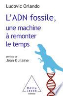 L' ADN fossile, une machine à remonter le temps