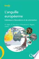 L'anguille européenne