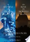 L'Anneau du Sorcier (Tomes 14 et 15)