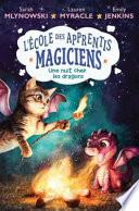 L' Ecole Des Apprentis Magiciens