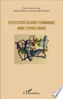 L'effectivité du droit économique dans l'espace OHADA