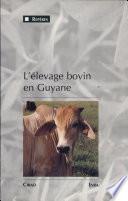 L'élevage bovin en Guyane