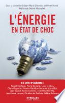 L'énergie en état de choc