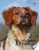 L'Epagneul Breton