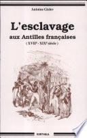 L'esclavage aux Antilles françaises (XVIIe-XIXe siècle)