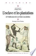 L'esclave et les plantations