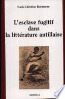 L'esclave fugitif dans la littérature antillaise