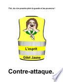 L'esprit Gilet jaune.